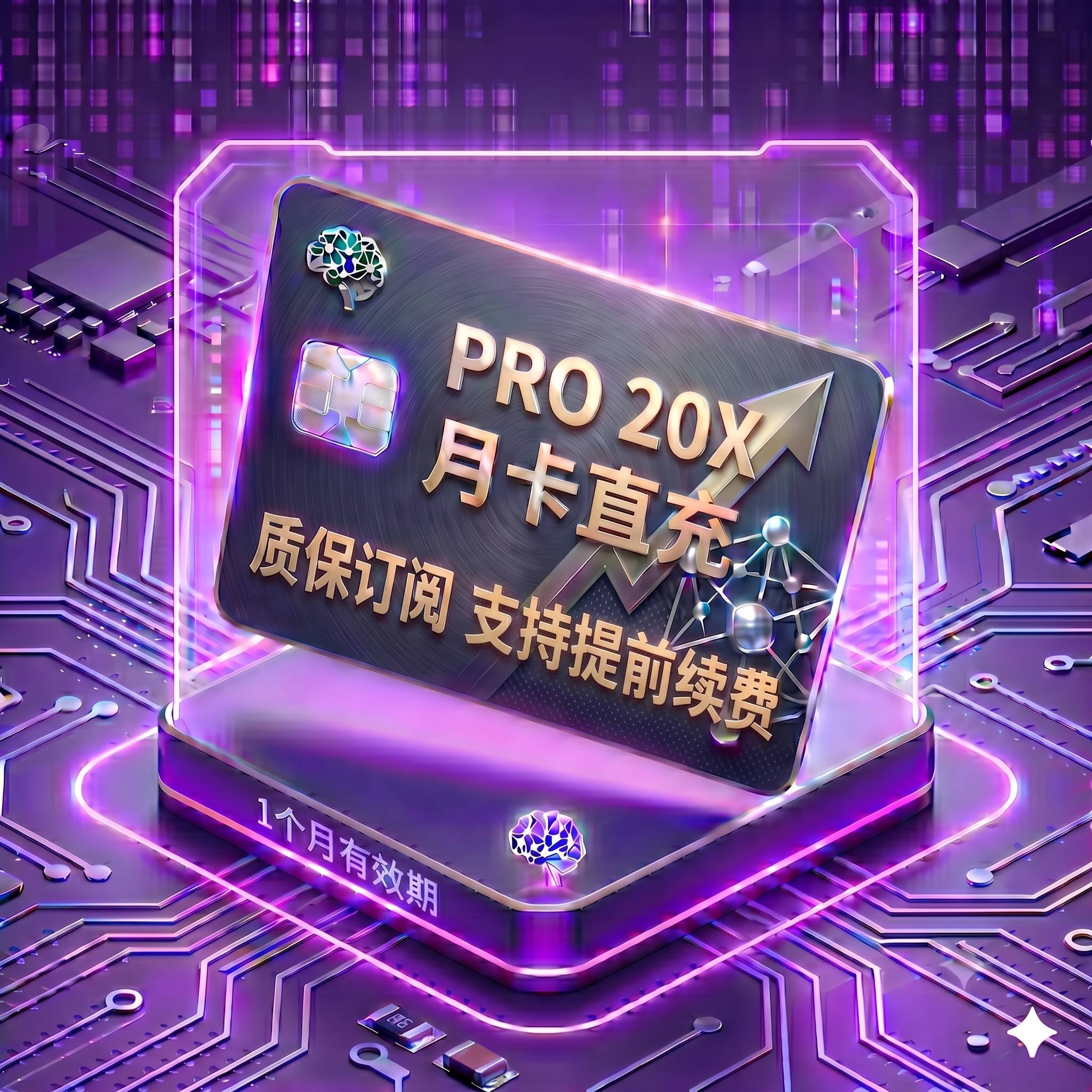 ChatGPT Pro 20X 代充值（仅支持续费）